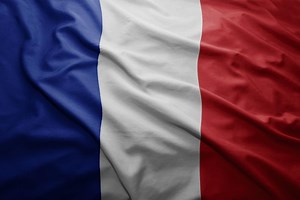 Why Simon Loves The French: The Advance Variation