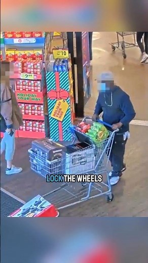 Shopping Carts With Built In Anti Theft