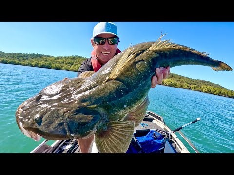 Catching 🐊HUGE FLATHEAD🐊fishing the flats