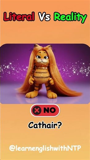 1+ Best of the Literal Vs Reality English Compound Words-574