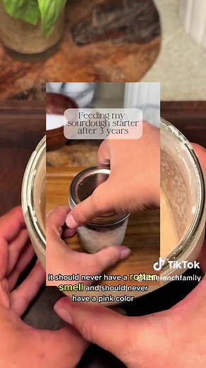 How to Identify Bad Sourdough Starter Signs
