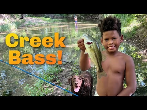 Creek Life at its FINEST! Summertime Bass in the Creek!