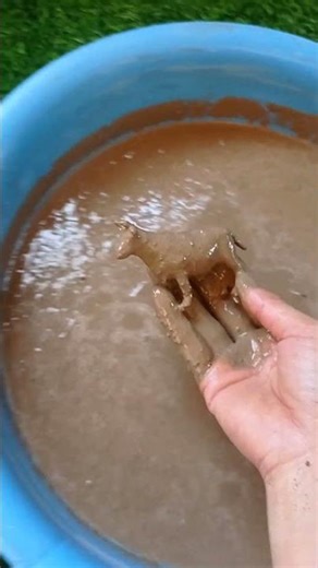 Charismatic AnimationsCharisma ToonsMagic Motion StudioCharmFrame AnimationEnchanted Animations