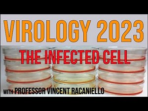 Virology Lectures 2023 #11: The infected cell