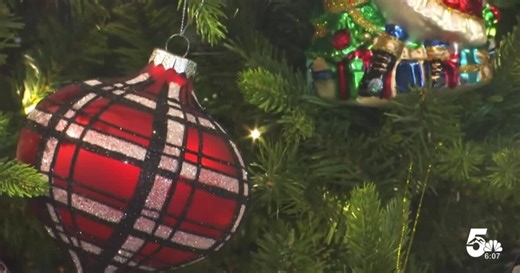 Mt. Carmel Veterans Service Center hosting Angel Tree to help local children