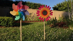 6K views · 20 reactions | ahoy shipmates, extreme garden pinwheels have just docked!! | Shiploads | Facebook