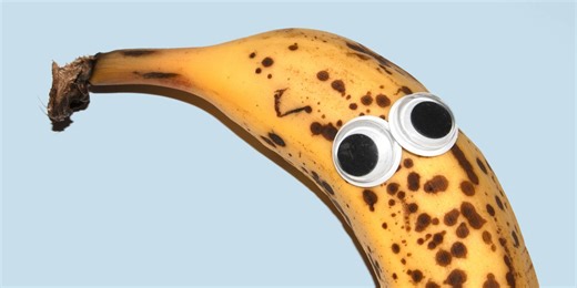 Everything You Need to Know About Gooning