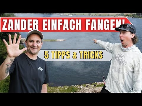 Easy zander fishing! This is how you get started right!