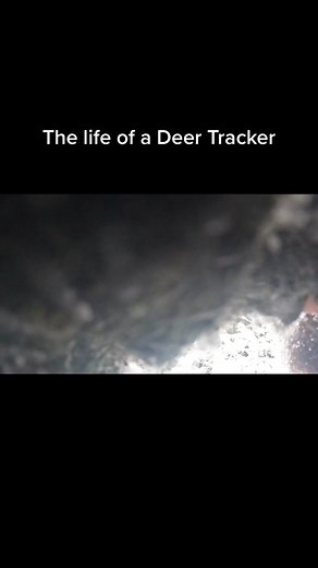 The life of a deer tracker, we go where the deer go. #maine #207 #deerhunting #deerseason #deertracker #bigwoodsbucks #beyondtheboundaries #hunting #whitetail #snow #christmas