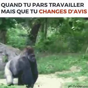 Ouais, en plus c'est le Black Friday 👋 | Cdiscount