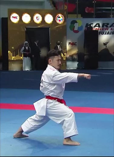 Mastering Karate Kata: The Art of Balance and Power