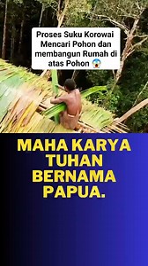 Bagian 38 | Kehidupan Suku Korowai Proses Membuat Rumah di atas Pohon di Papua 😱 #foryou #untukkamu #semuaorang #4u #fyp #viral #papua #suku #korowai #papua @sorotan | Anita Fitri