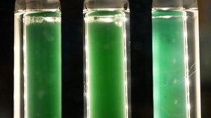 clip-1096736379-algae-bubbles-science-reactor-research-modern-laboratory