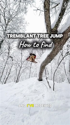 How to find Tremblant tree jump