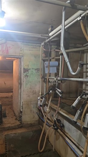 Exploring a Milk Barn: A Unique Farm Experience