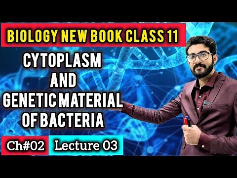 Cytoplasm & Genetic Material of Bacteria | Chapter 2 (New 2025 Biology Syllabus) | ilm e BIOLOGY