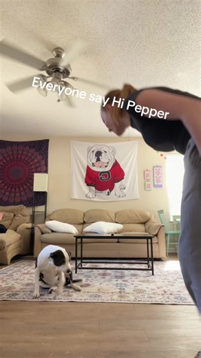 ella (@ella.whittemore)’s videos with Ice cream meepcity - Meep