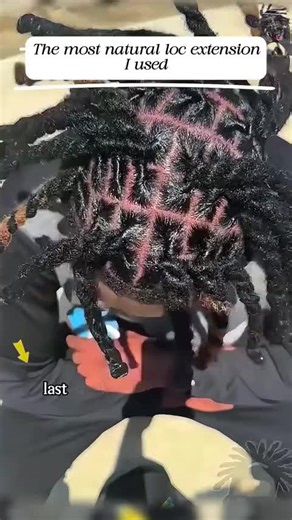 Starting Locs with Real Human Hair Extensions