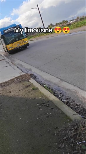 Life in Bakersfield: A Local Perspective