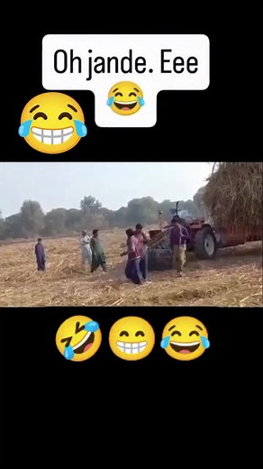 #funnyvideos #like #cuddle #tiktok #foryou