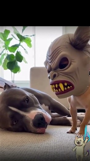 BIG DOG vs. LITTLE DEVIL 😈🔥 (Wait for the reaction!) #shorts