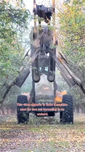 latest technology tree nut harvesting in an orchard.
