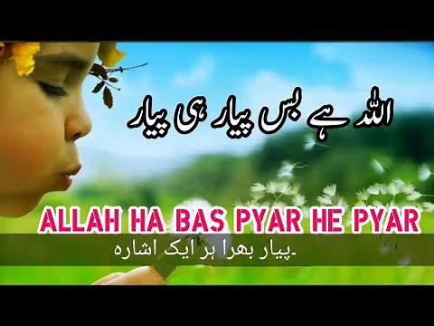 Allah hai bas piyar hi piyar