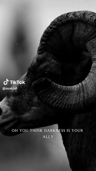 You think Darkness is your ally? #bane #batman #darkness #tomhardy #thedarkknightrises #tiktokvideosforyou #christianbaleedit #baneedit #batmanedit