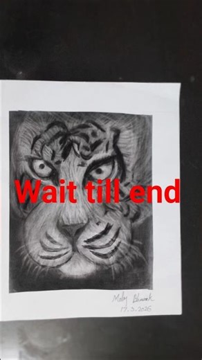 how to draw realistic tiger #drawing sketch #tiger sketch #realistic sketch #drawing