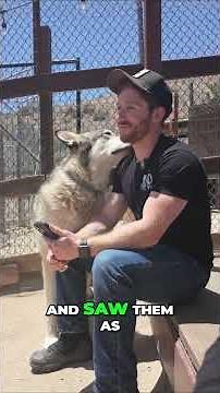 Folsom's Run - Vernon Wells at Dances with Films 2025