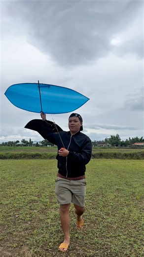 1.5m vs 2.5m Flute Kite Battle | Which Kite Flies Higher #shortvideo #kite