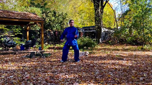 Chen Style Tai Chi 1st Routine (Part) | Hai Yang's Internal Arts Practice