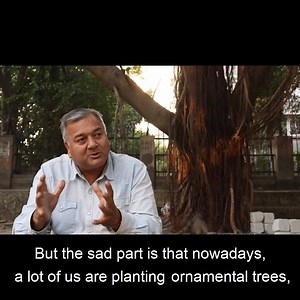 1.4K views · 101 reactions | What are the benefits of the banyan tree? | Peepal Baba | Facebook