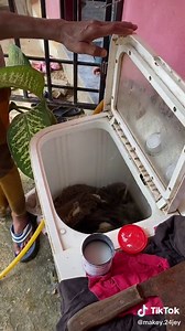 beginilah setiap tahun, bende boleh cepat buat apa nk lambatkan hahahaha.😂#foryou #viral2022 #fyp #fypシ #makanlokal #myfoodie #makanemoji