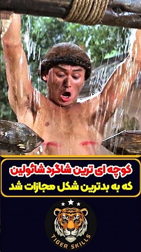 کوچه ای ترین شاگرد شائولین مرتکب اشتباه شد! معرفی بهترین فیلم ها و سریال های جدید جهان #moviereview