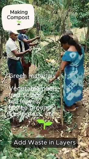 Turning Kitchen Waste into Gold 🌿 | Simple Home Composting Guide