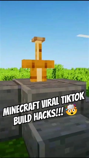 Minecraft TikTok Build Hacks That Actually Work 💡 #shorts #minecraft #truedialogue