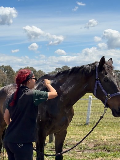 Living Legends on Reels