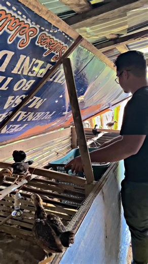 Man Farm (@manfarm7)’s videos with Trust The Process - OPIRIUM