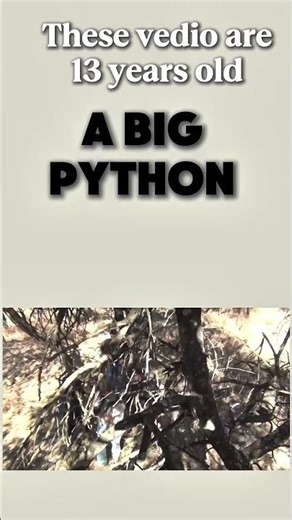 A Big python #python #bigpython
