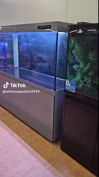 Buy the Cleair Sargasso 870 in Ocean Grey Today