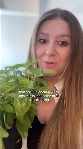 How to store basil so it stays fresh for over a week!