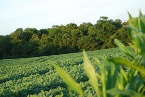 18 reactions | Ohio hunting lease now available on HLRBO! This farm...