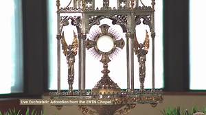 Jesus is waiting for you! Spend a few minutes adoring Our Lord Jesus Christ, who truly is present in the Most Holy Eucharist. Include your intentions, and remember that the EWTN Family is always praying with you and for you! Learn about the Eucharist and get a free eBook: https://bit.ly/EWTN_Eucharist This stream will run Monday-Friday from 9 a.m. - 5 p.m. ET (approx.) You also can adore Jesus here: https://ewtn.com/catholicism/adoration God bless you, family! | EWTN