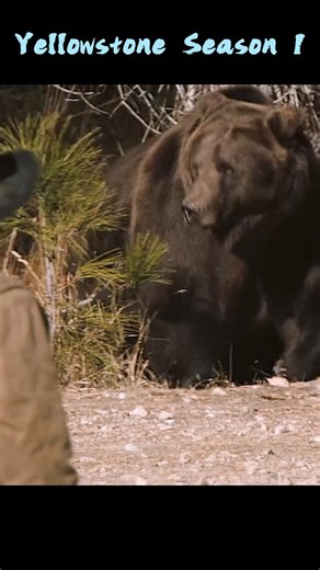 Yellowstone Season 1 | Rip Wheeler Saves Kayce Dutton From A Grizzly Bear & Delivers The Iconic