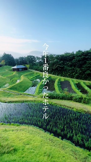 今年泊まった宿で一番良かった！ 棚田ビューのある星野リゾート界湯布院 #湯布院 #星野リゾート #湯布院観光