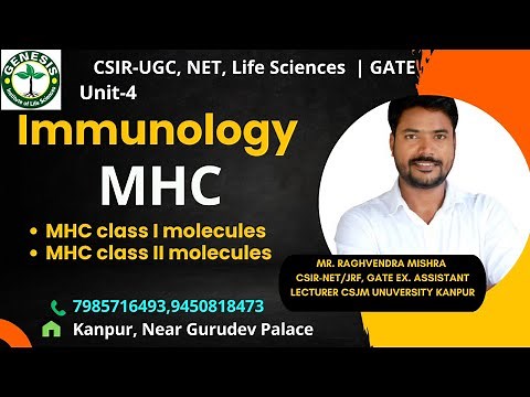 Major Histocompatibility Complex | MHC class I & class II molecules | Immunology#genesis_institute