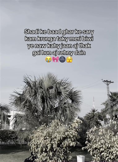 Post-Wedding Life: A Humorous Perspective on Responsibilities