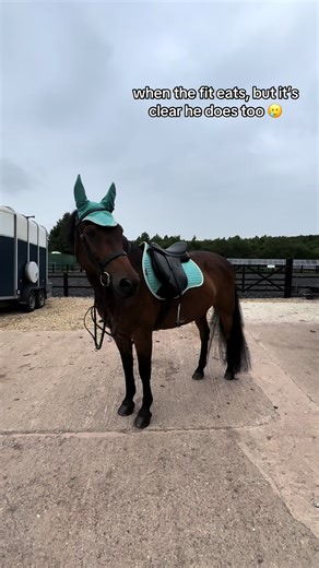Dennythenewforestpony on TikTok
