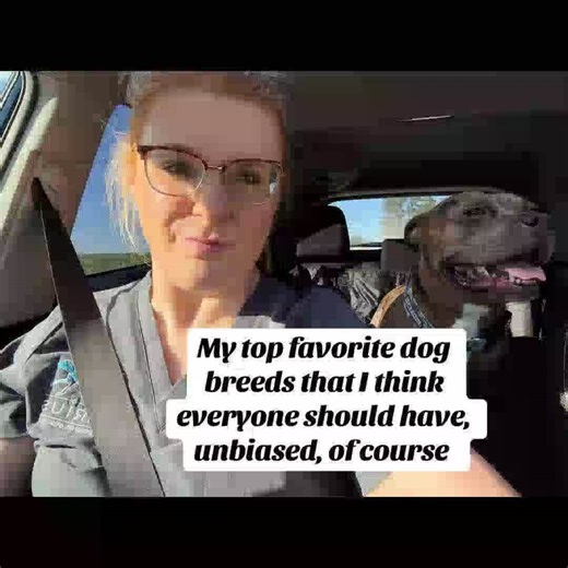 Dog breeds everyone should have! Let's list them now: | FAD: Free Animal Doctor